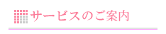 �T�[�r�X�̂��ē�